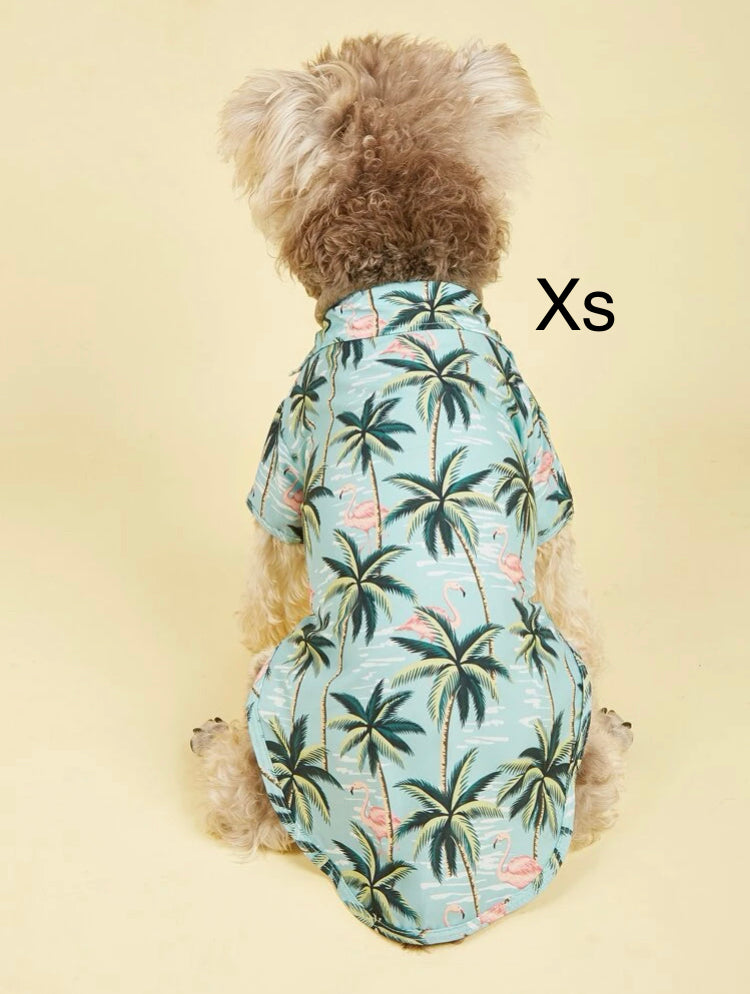 Camisas Hawaiianas para peluditos en tamaño Xs