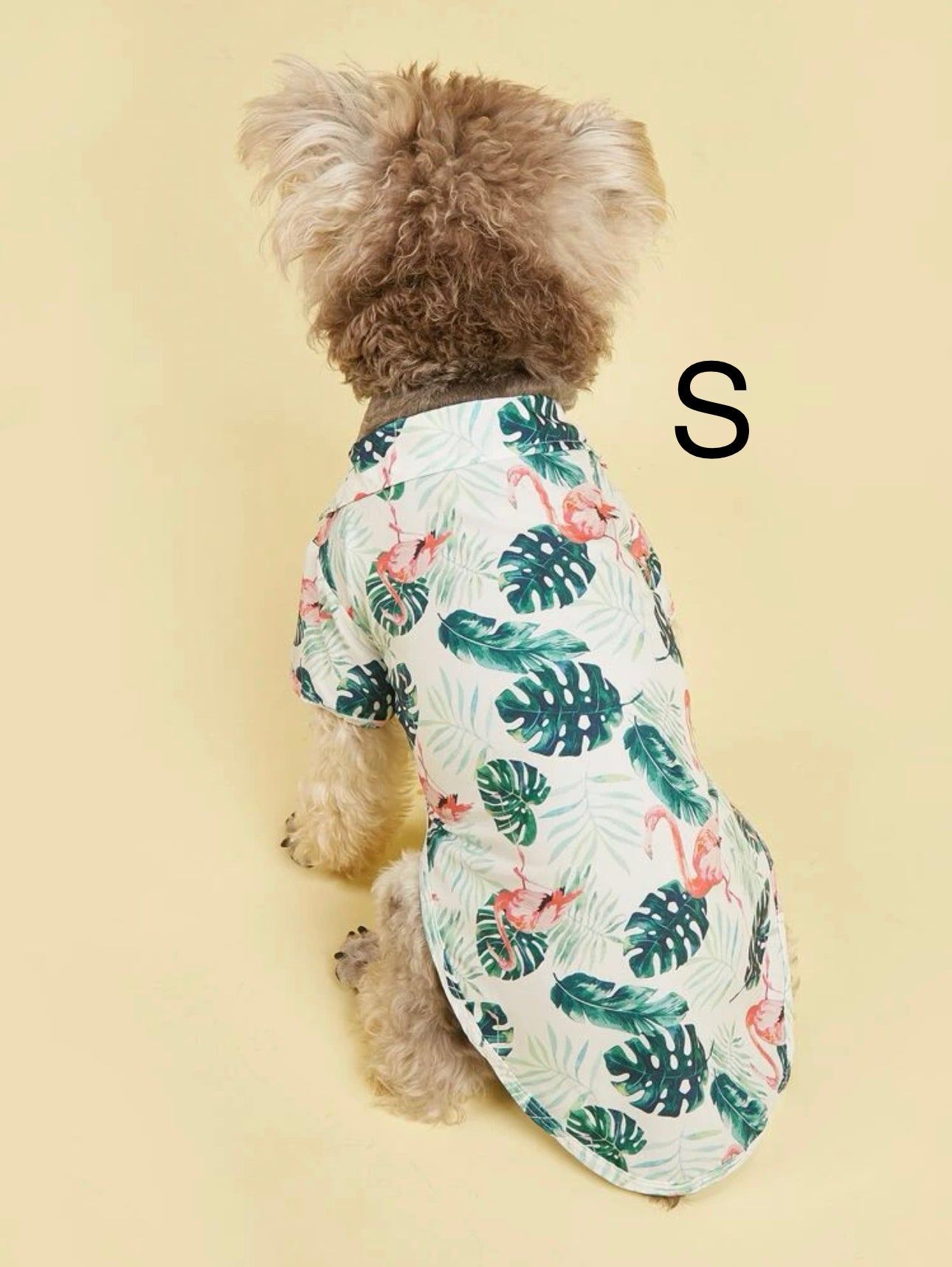 Camisas Hawaiianas para peluditos en tamaño Small