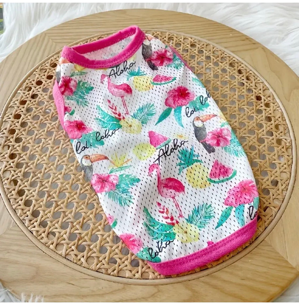 Camisetita veraniega para peludita en tamaño Xs