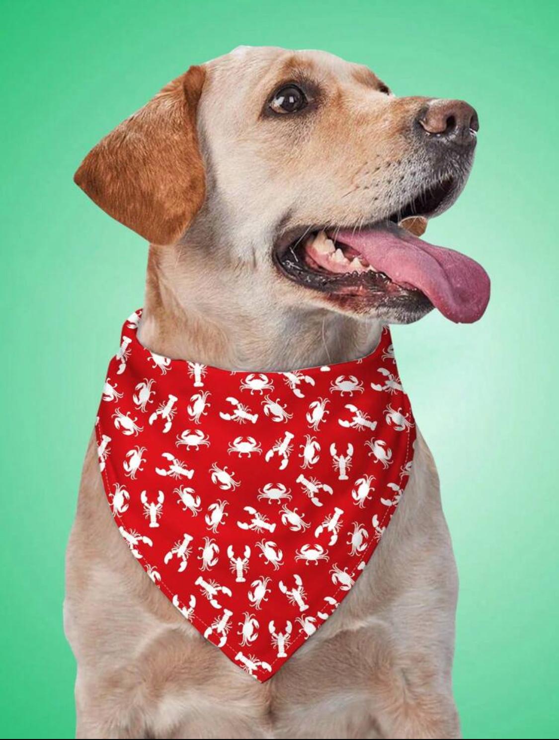 Bandana para mascotas con diseños de langostas. Talla Única